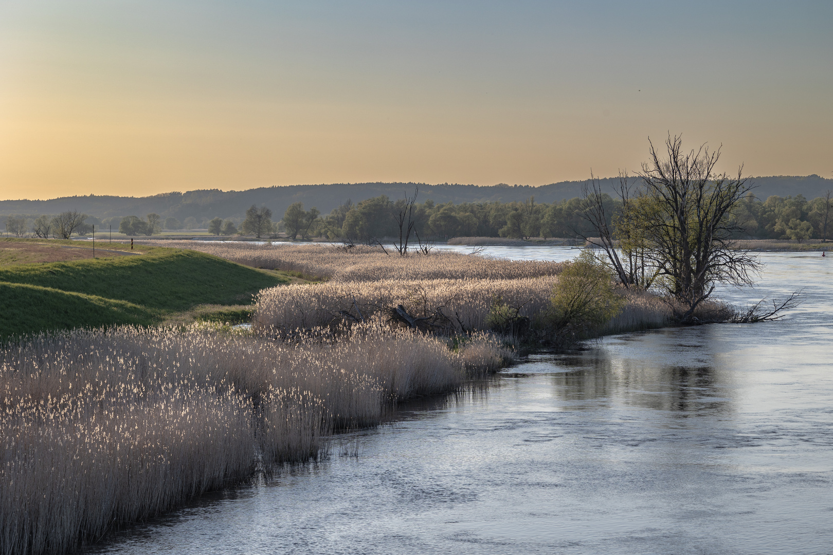 Abends an der Oder