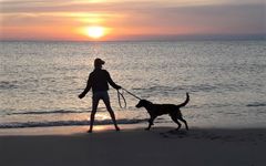 Abends an der Ostsee