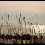 abends an der Ostsee