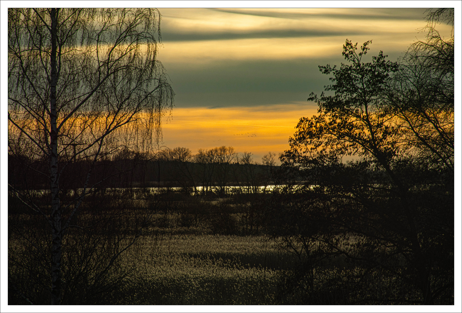 Abends an der Peene