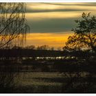 Abends an der Peene