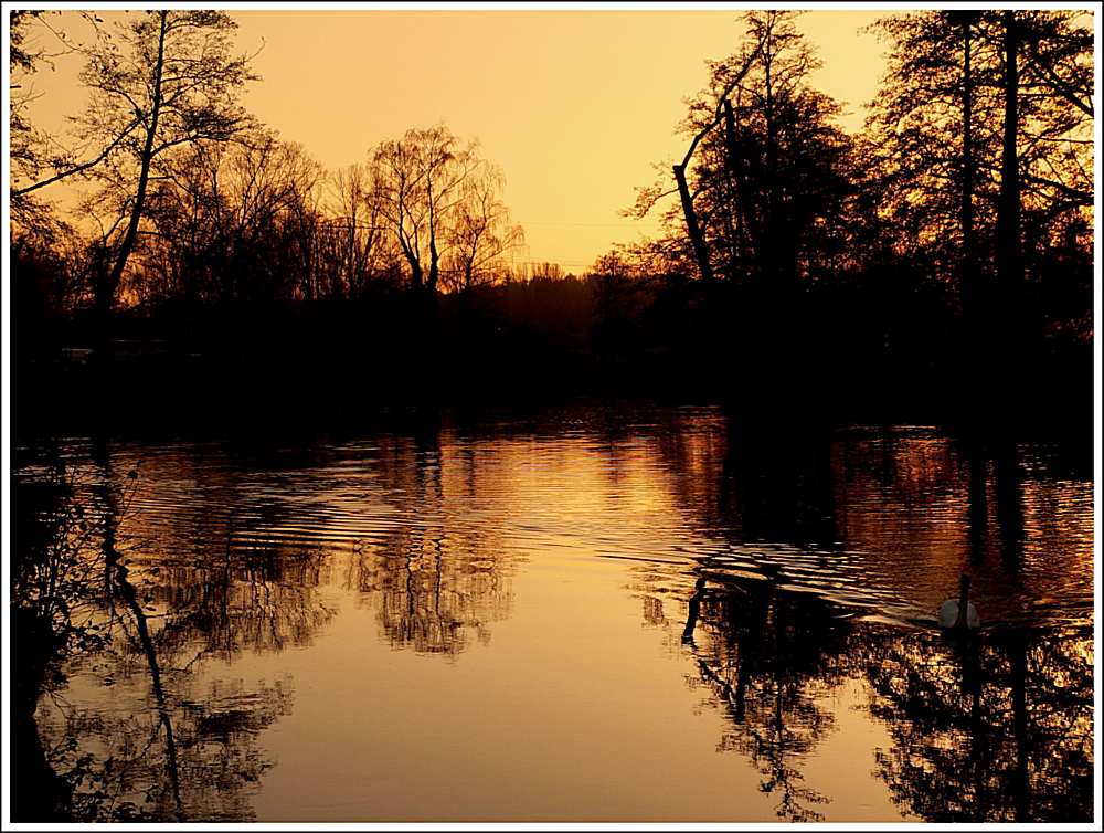 Abends an der Rednitz in Fürth