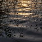 Abends an der Schlei