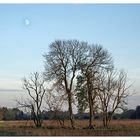 abends an der Steveraue bei Olfen