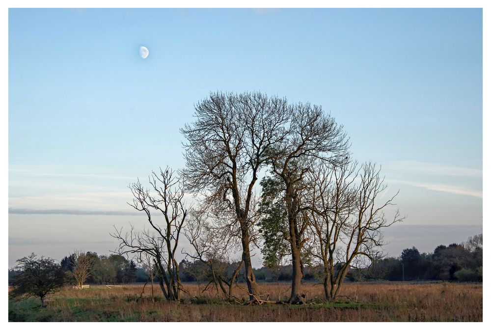 abends an der Steveraue bei Olfen