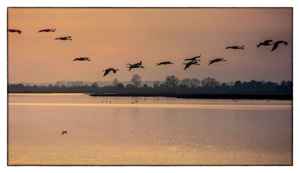 Abends an der Sundschen Wiese