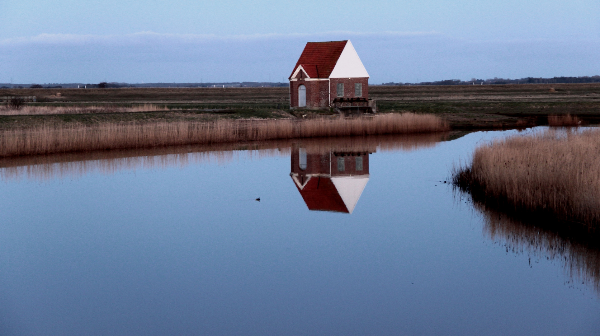 abends an der Vidå... (2)