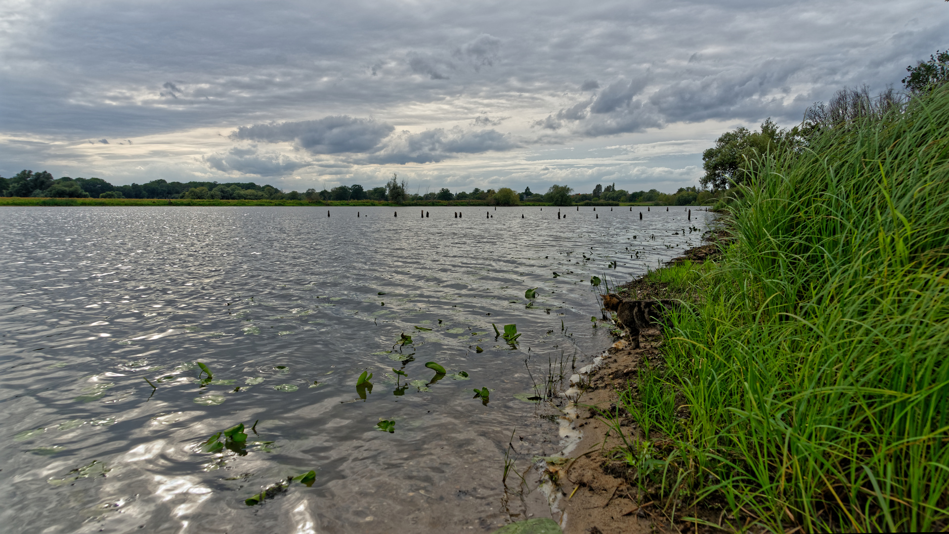 abends an der Wendel