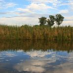 Abends an der Wörnitz