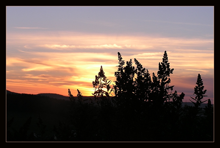 Abends auf dem Berg