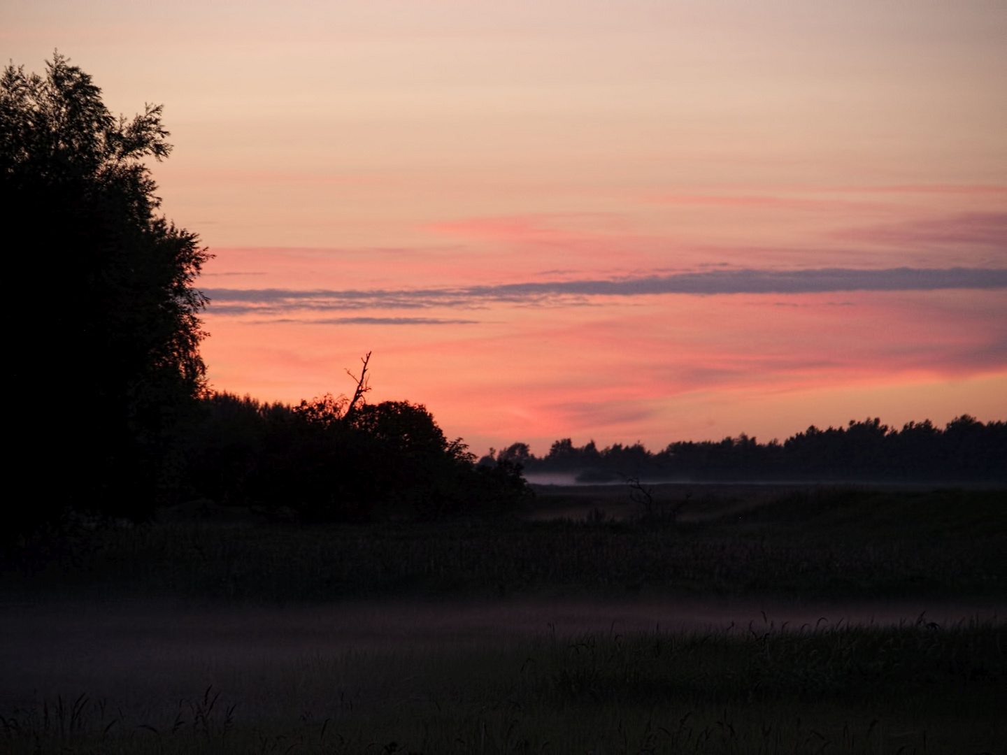 Abends auf dem Darß