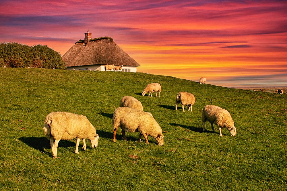 Abends auf dem Deich 