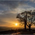 abends auf dem drachenfels.......