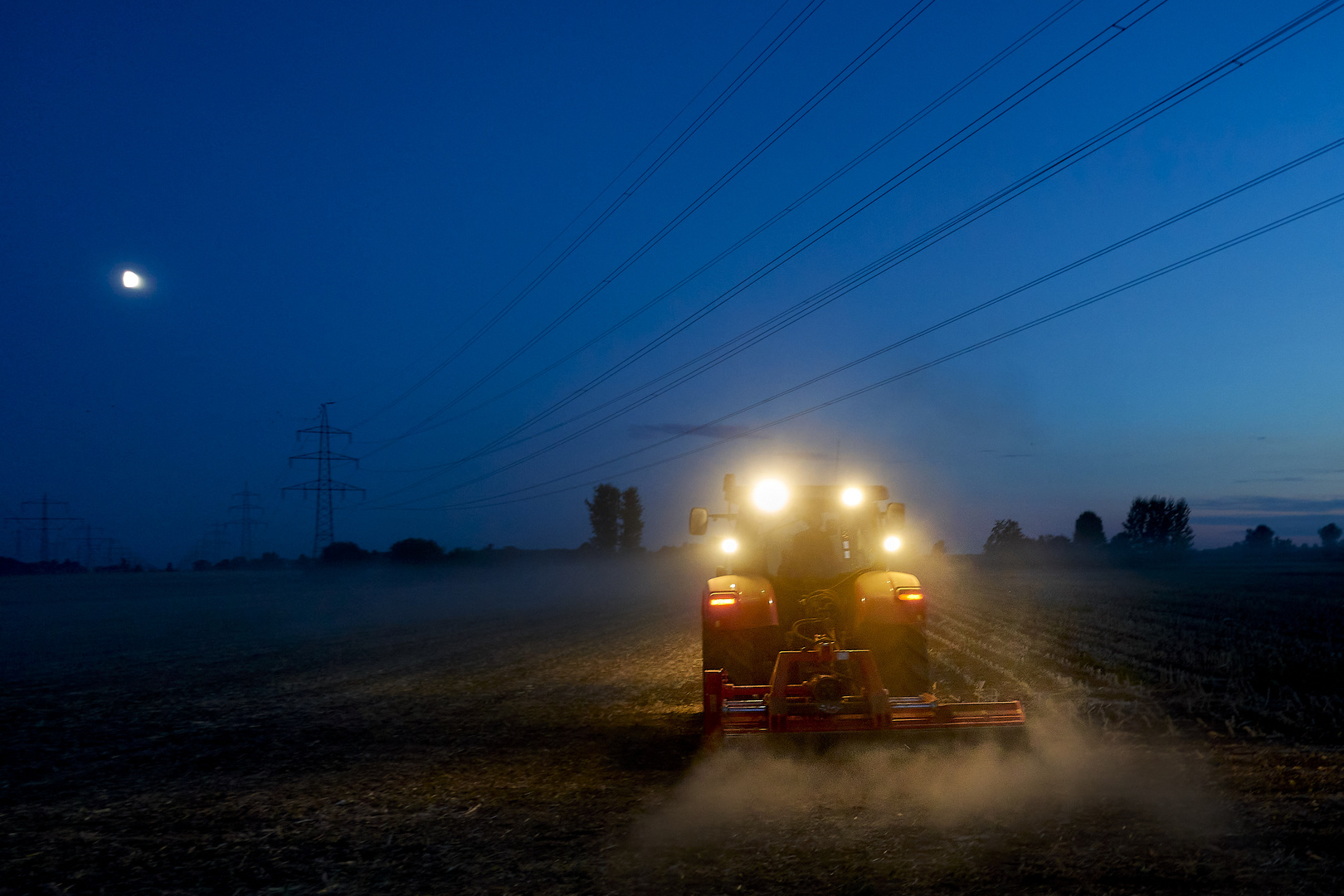 Abends auf dem Feld