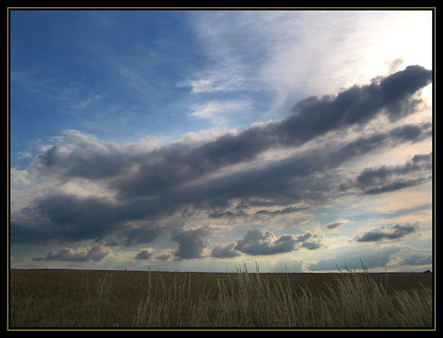 Abends auf dem Feld