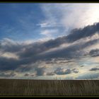 Abends auf dem Feld