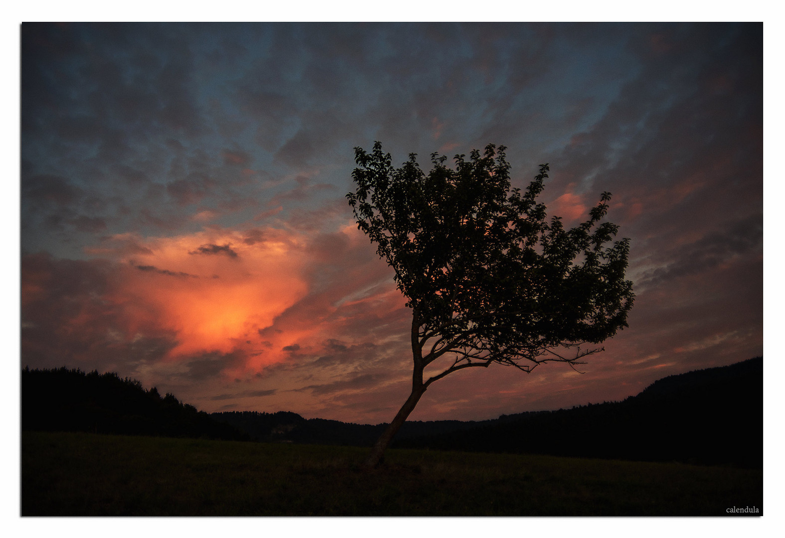 ...abends auf dem Felde.....