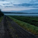 Abends, auf dem Heimweg