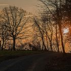 Abends auf dem Hohberg