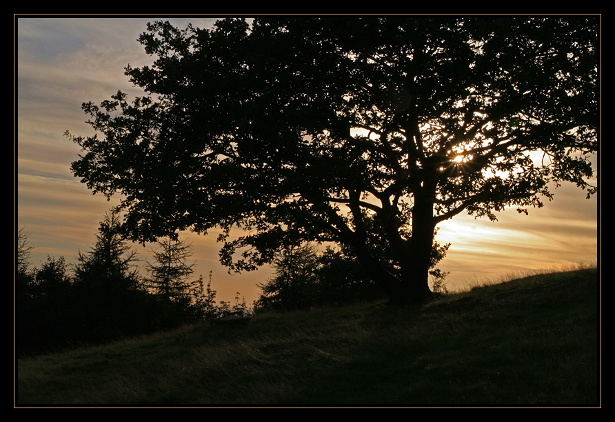 Abends auf dem Köterberg....