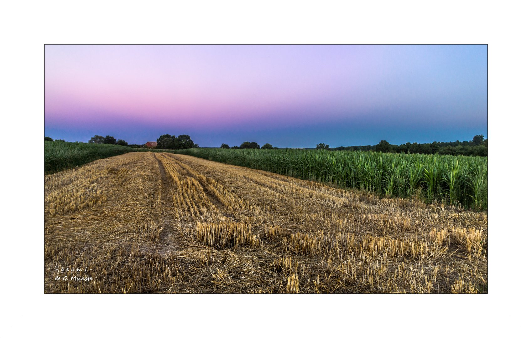 Abends auf dem Land