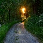 Abends auf dem Panoramaweg von  Bodenmais