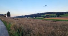 Abends auf dem Weg zur Altenburg