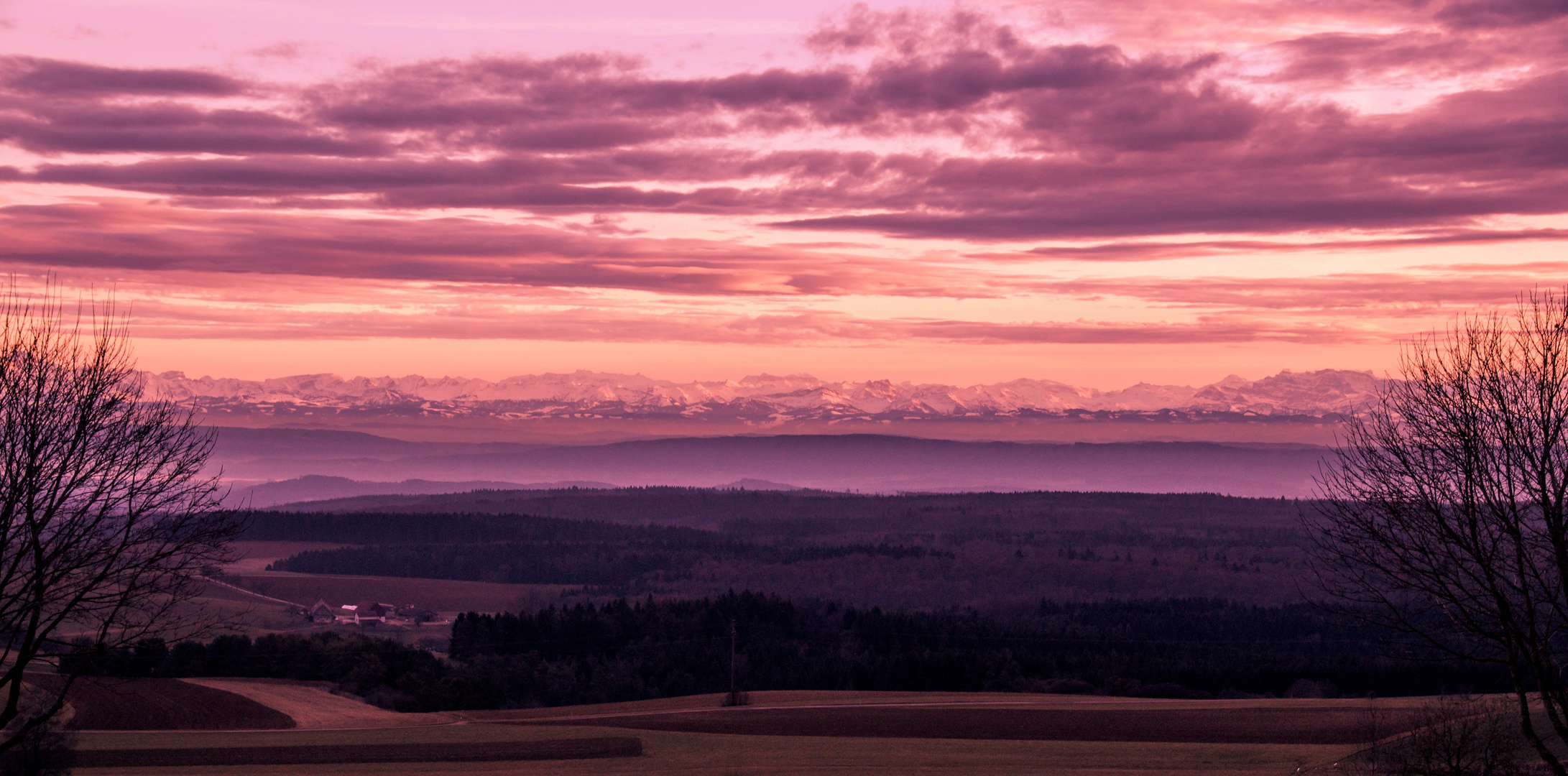 Abends auf dem Witthoh