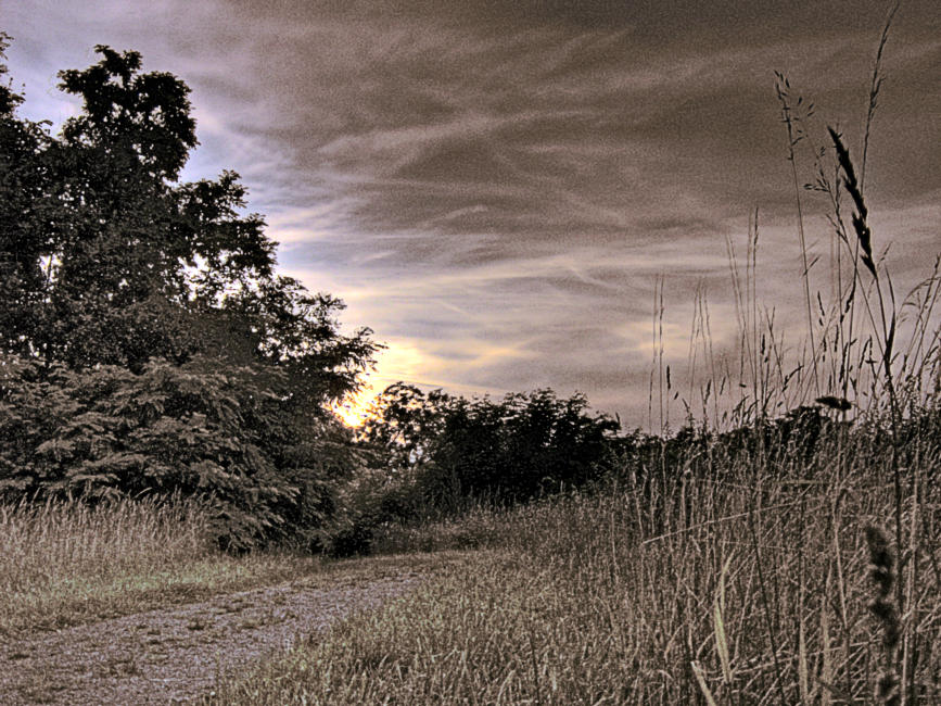 Abends auf dem Wolfsbuck