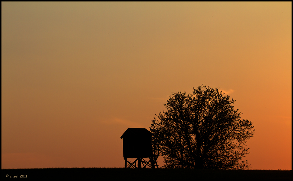 Abends auf den Feldern...