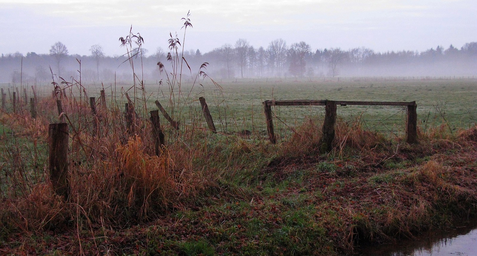 Abends auf den winterlichen Feldern