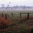 Abends auf den winterlichen Feldern