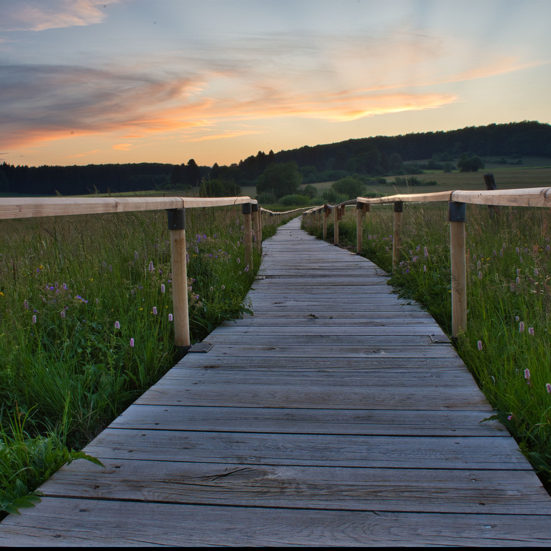 Abends auf der Alb