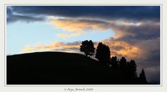 Abends auf der Alm....