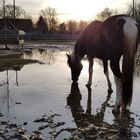 Abends auf der Farm