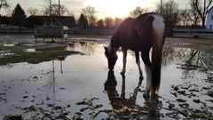 Abends auf der Farm