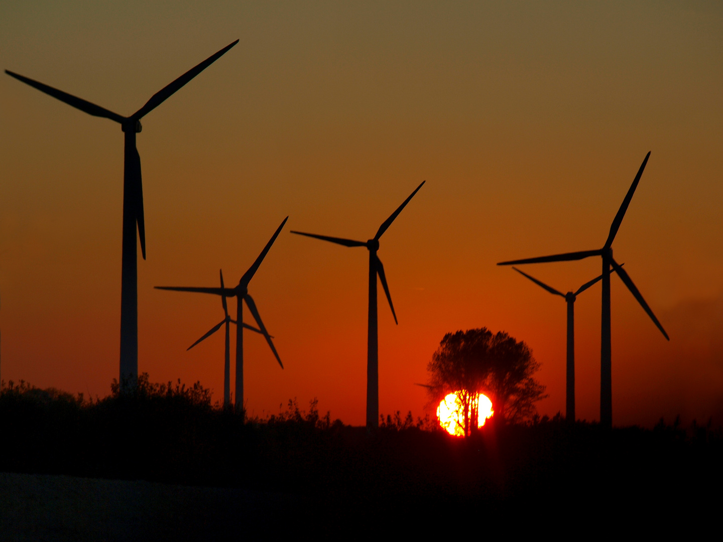 Abends auf der Haar