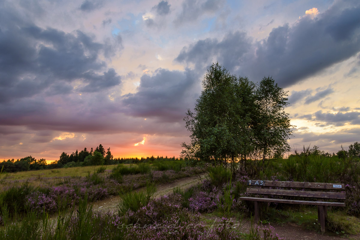 Abends auf der Heide