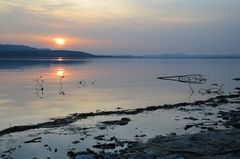 abends auf der Reichenau