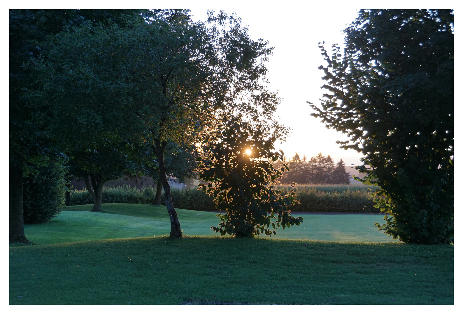 abends auf der Sportwiese