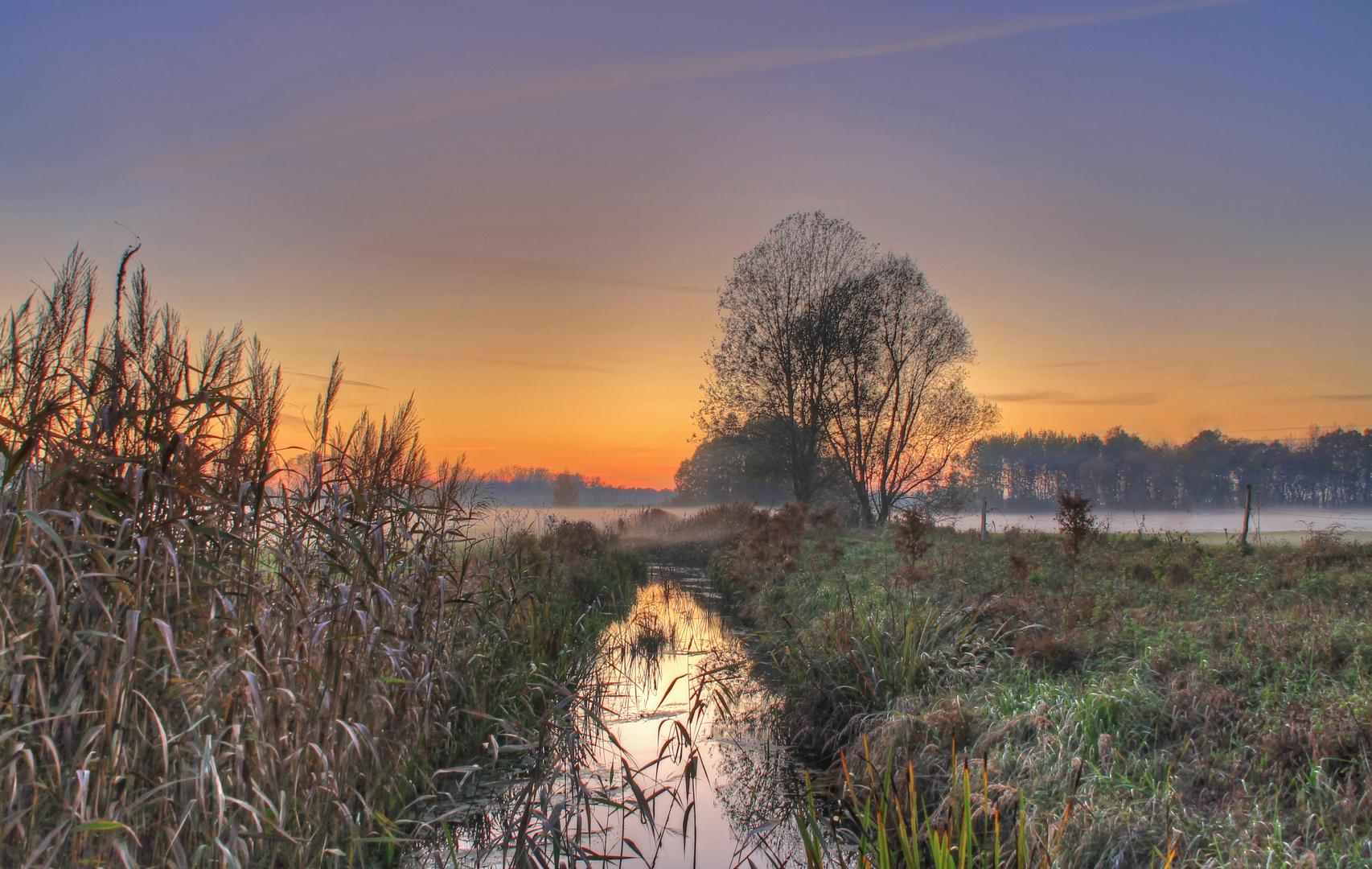 Abends auf der Wiese