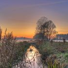 Abends auf der Wiese