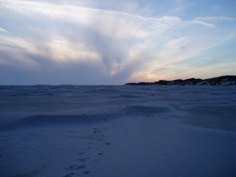 Abends auf Kneipsand