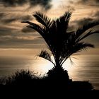 Abends auf La Palma