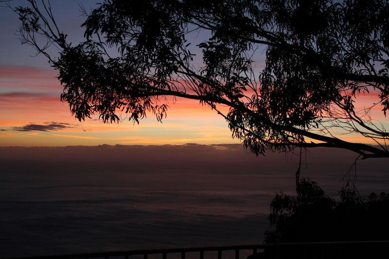 Abends auf Madeira