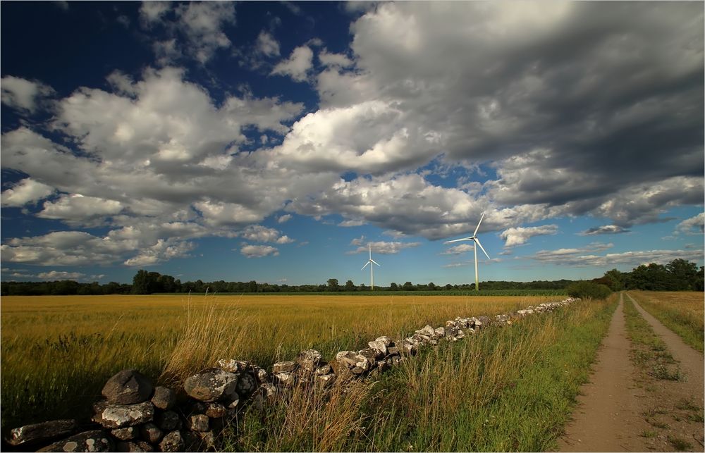 abends auf Öland