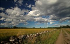 abends auf Öland