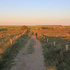 Abends auf Sylt