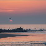 abends auf texel....