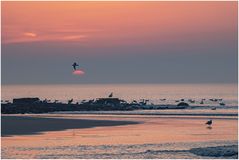 abends auf texel....